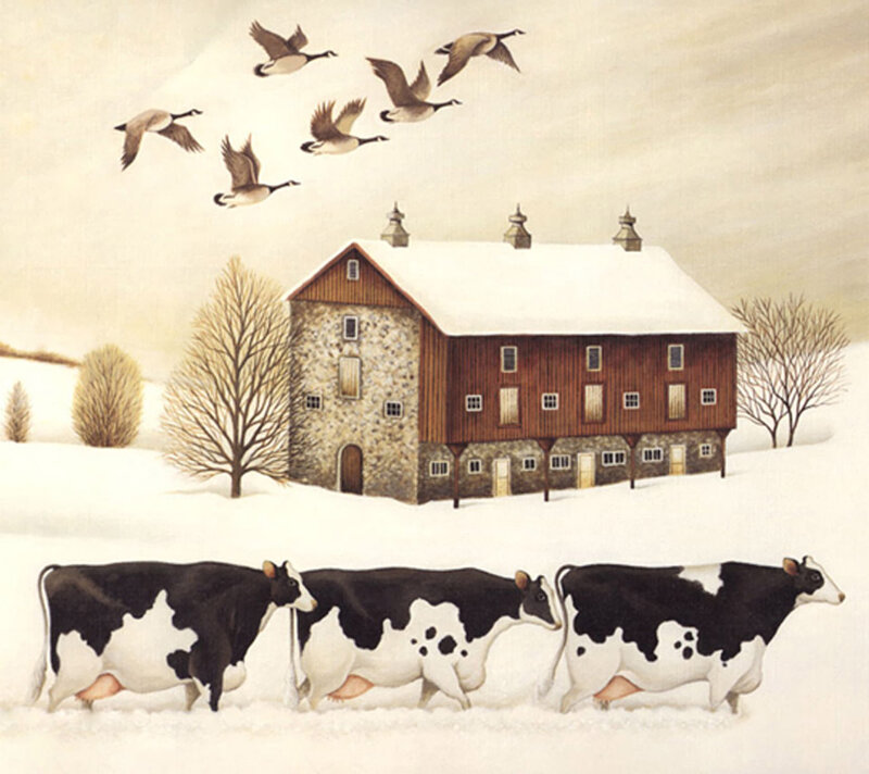 Black and White Cows — Serene
