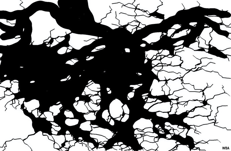 Black and White Cracked Pattern