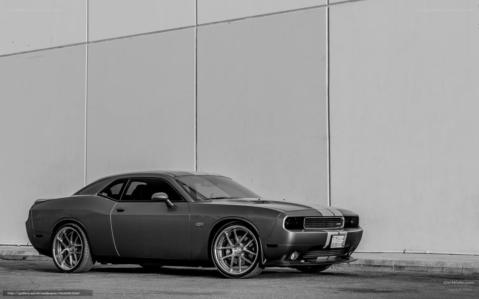 black and white dodge challenger