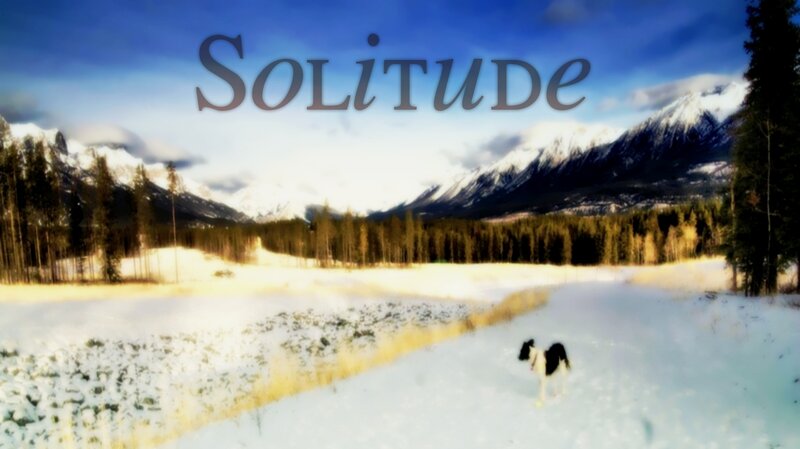 Black and White Dog in Snow — Blue