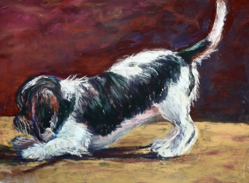 Black and White Dog — Red, Dramatic