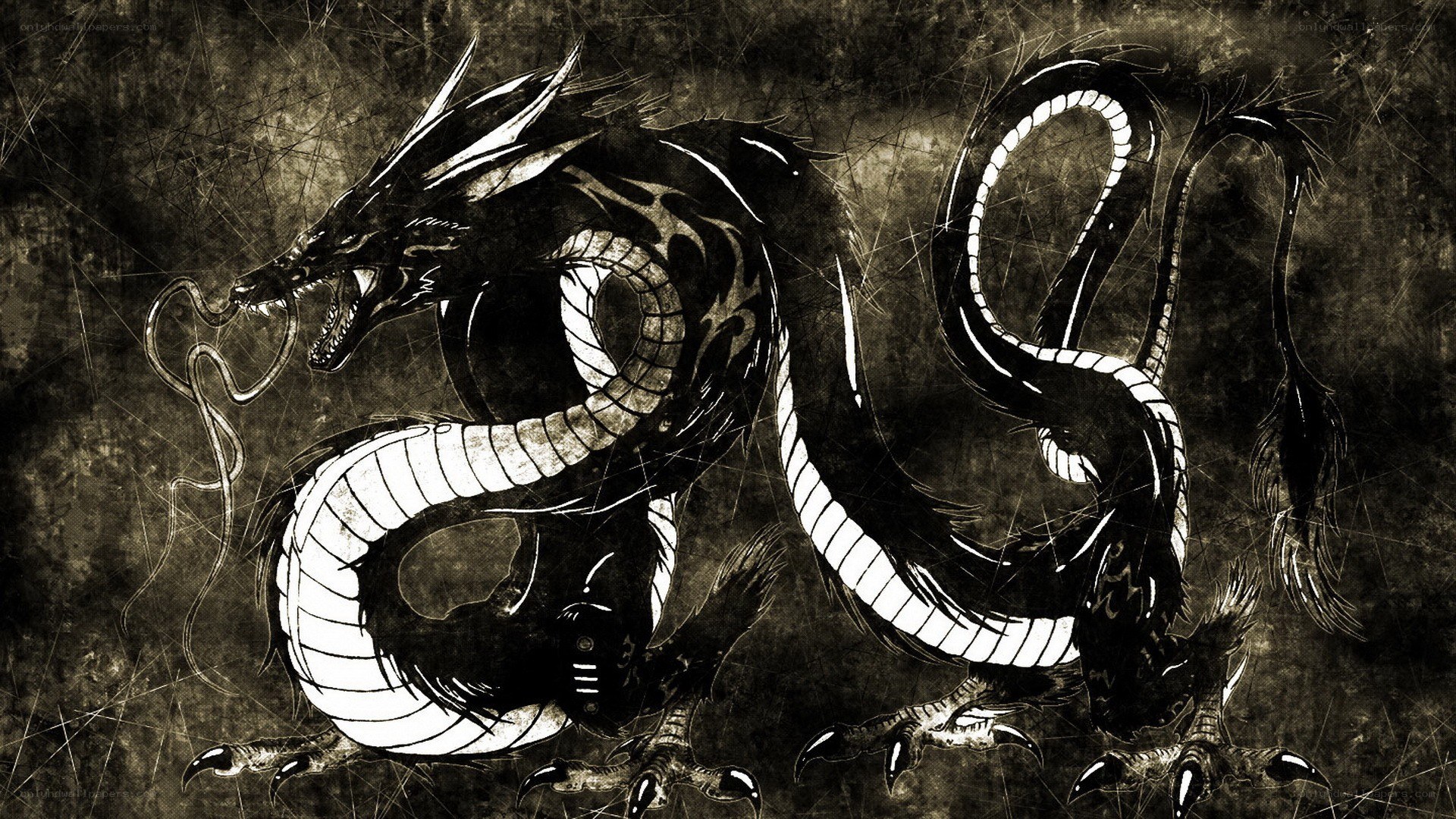 black and white dragon illustration