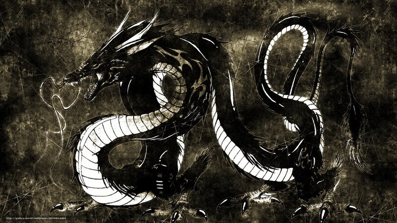Black and white dragon illustration