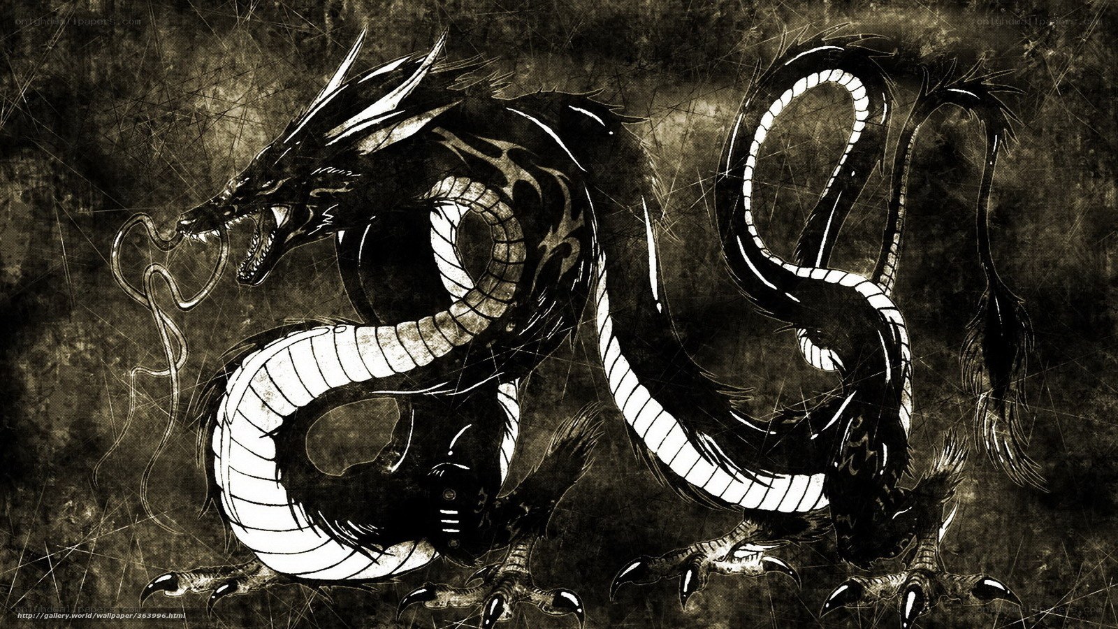 Black and white dragon illustration