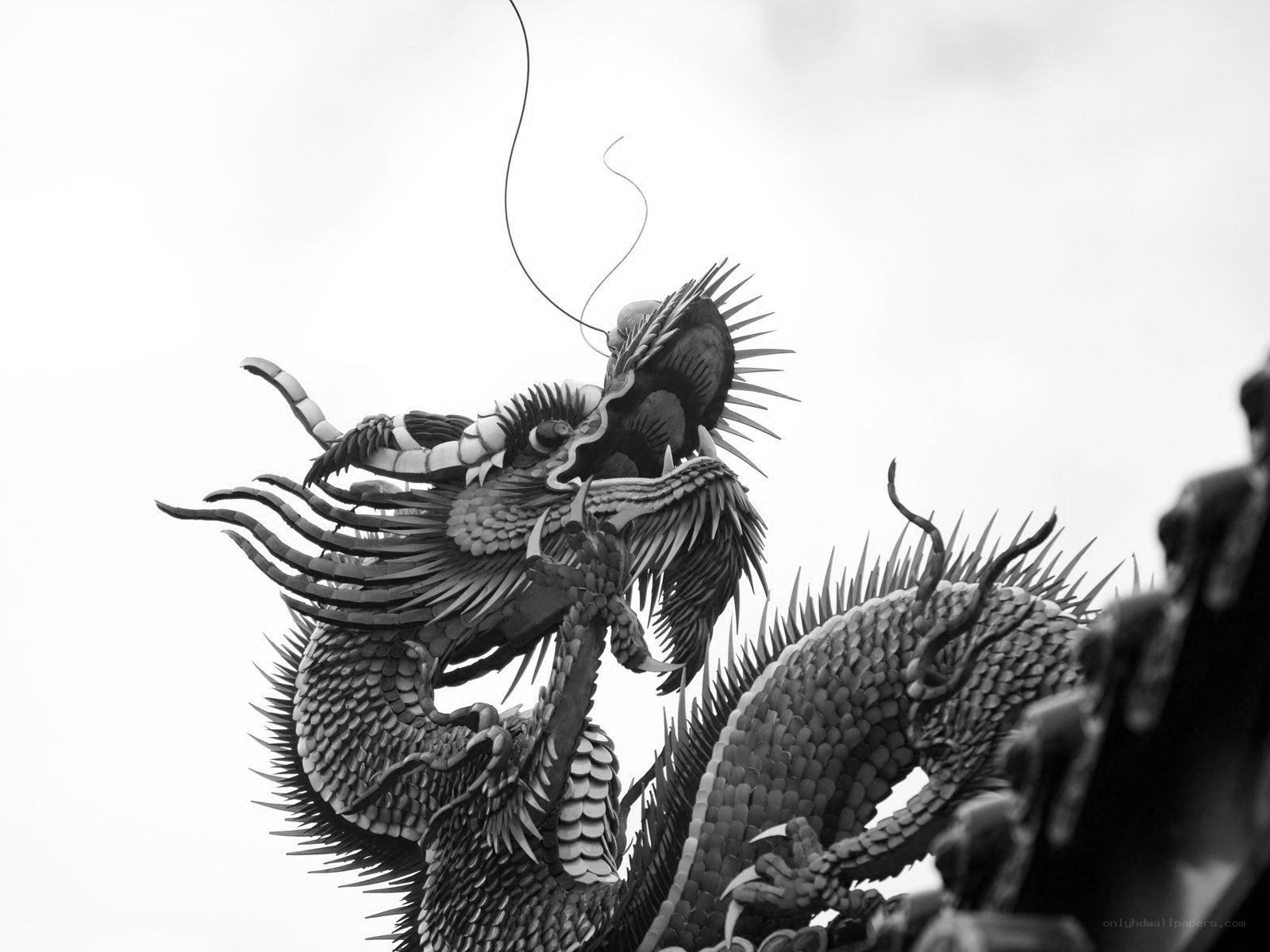 Black and white dragon sculpture