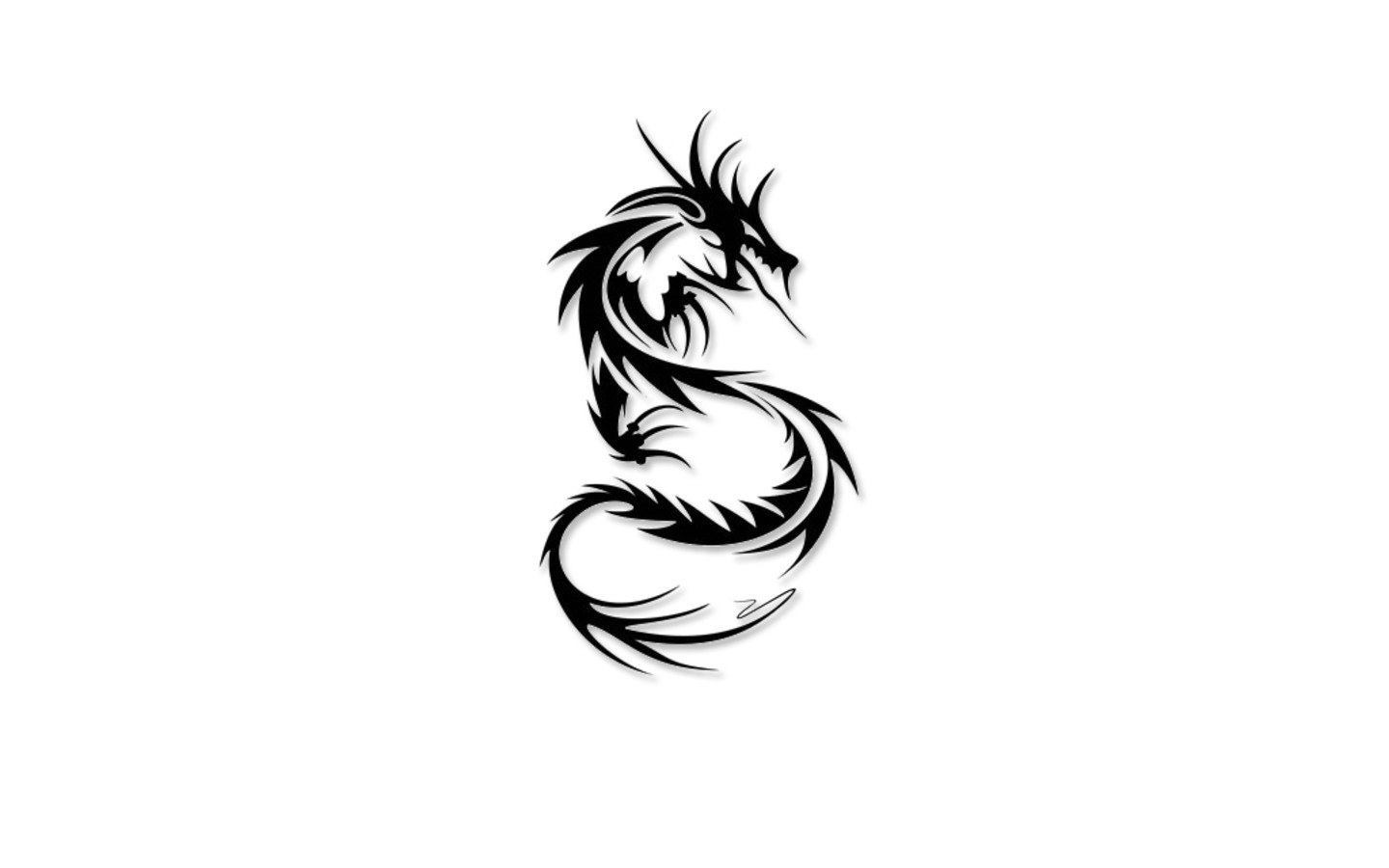 black and white dragon tattoo design