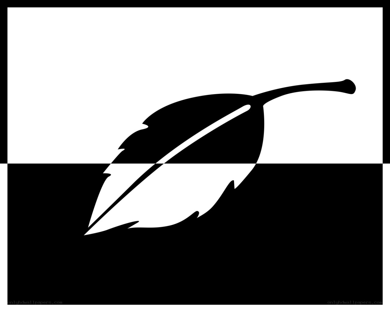 black and white feather logo