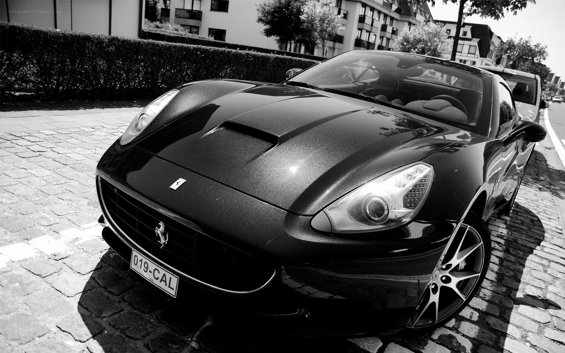 Black and white Ferrari parked