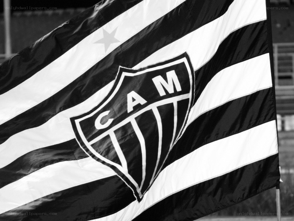 black and white flag with crest