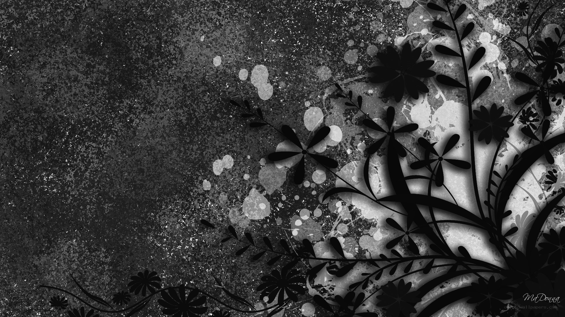 black and white floral abstract