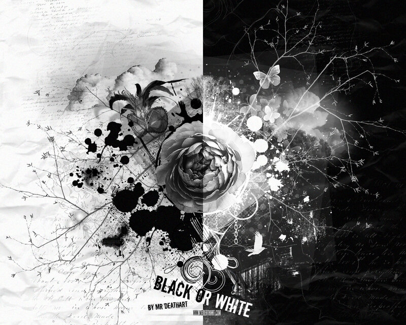Black and White Floral Collage — Dramatic