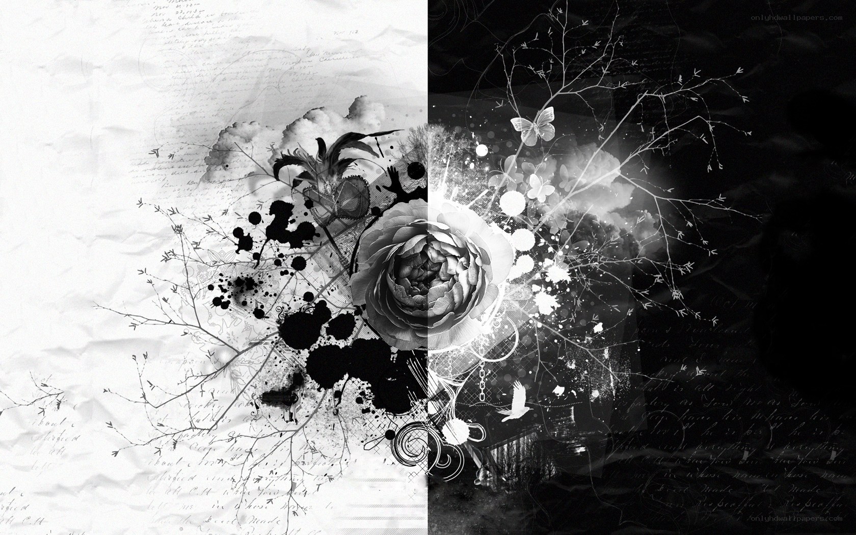 black and white floral collage
