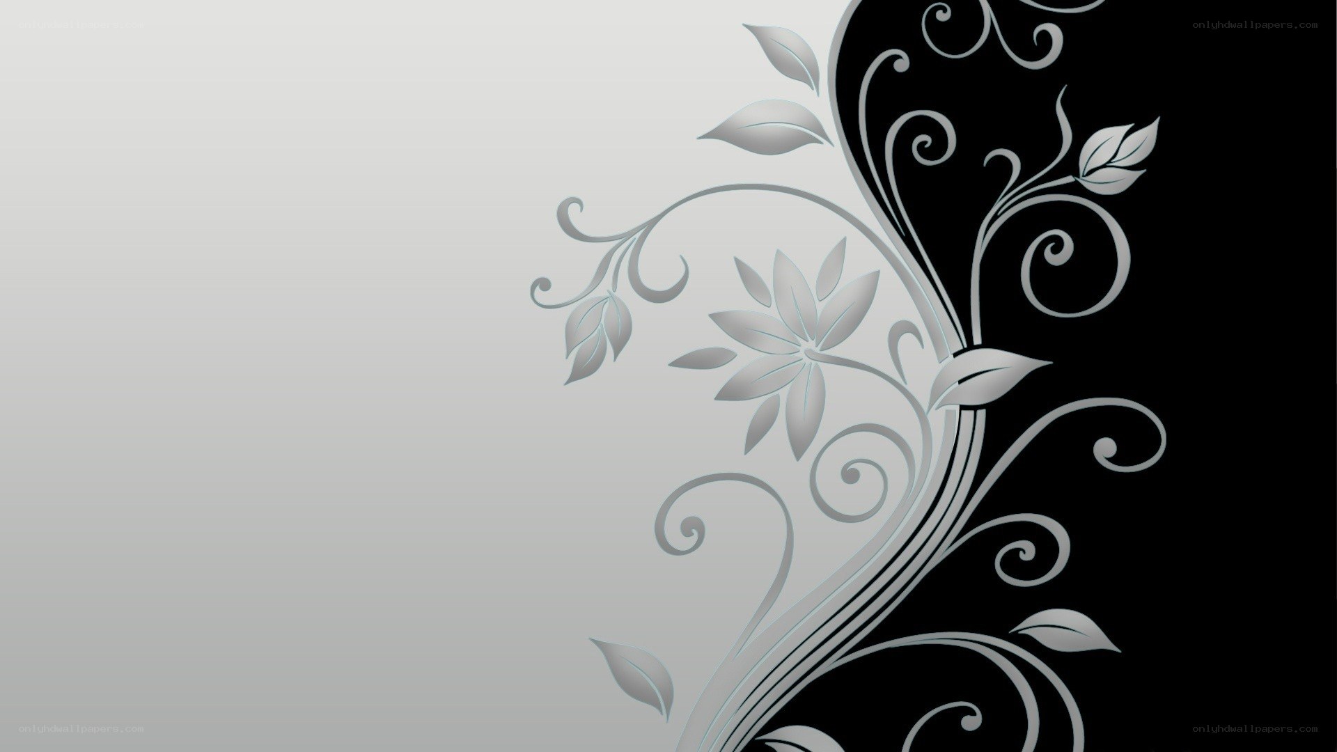 black and white floral design