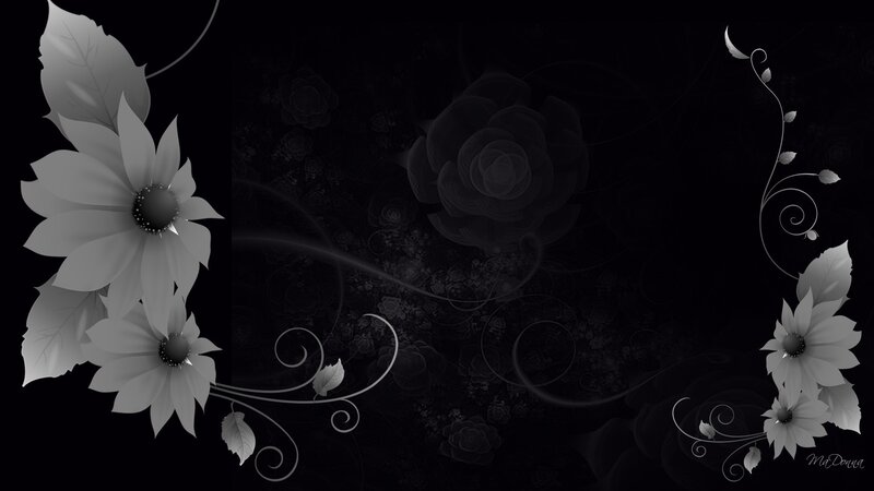 Black and White Floral Design — Elegant