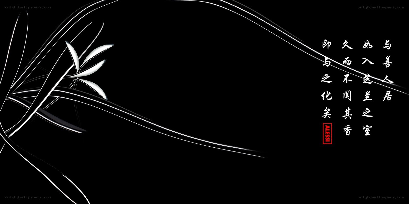 Black and white floral design with text
