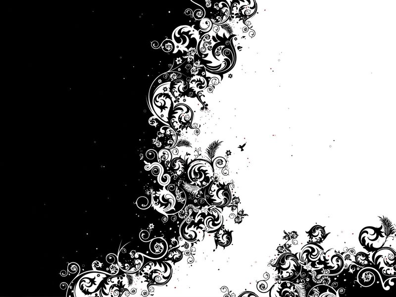 Black and White Floral Pattern — Dramatic, Vector Art, Swirls