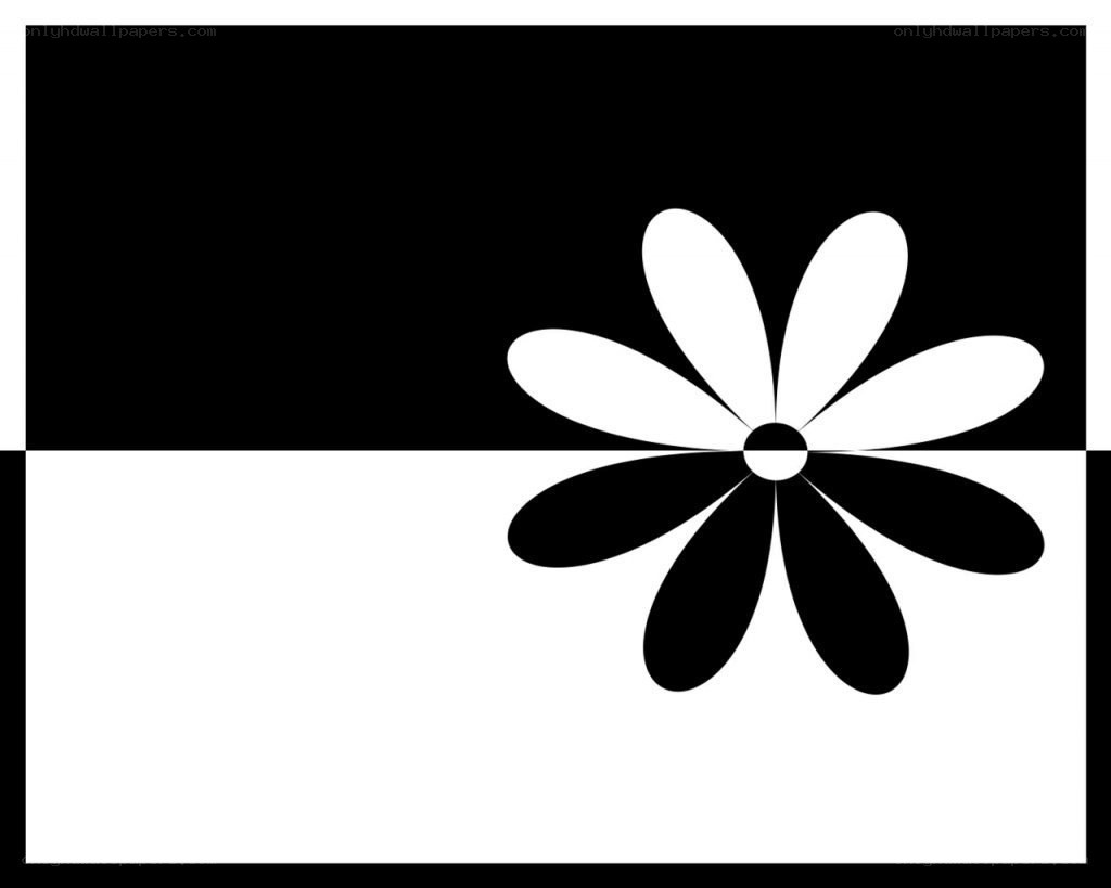 black and white flower design