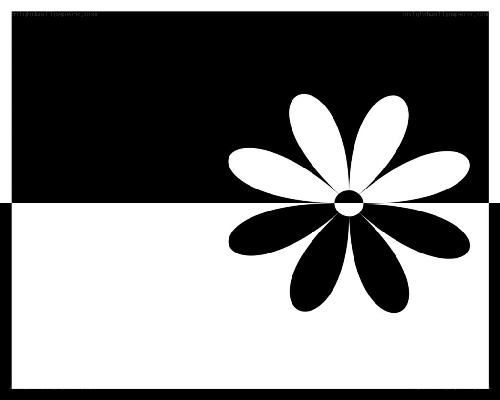 black and white flower design