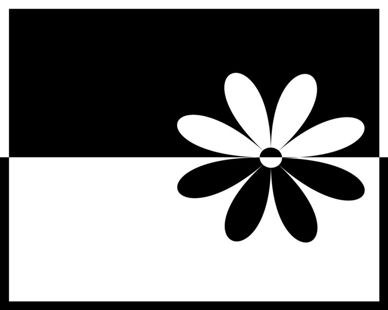 Black and White Flower — Neutral, Minimalist
