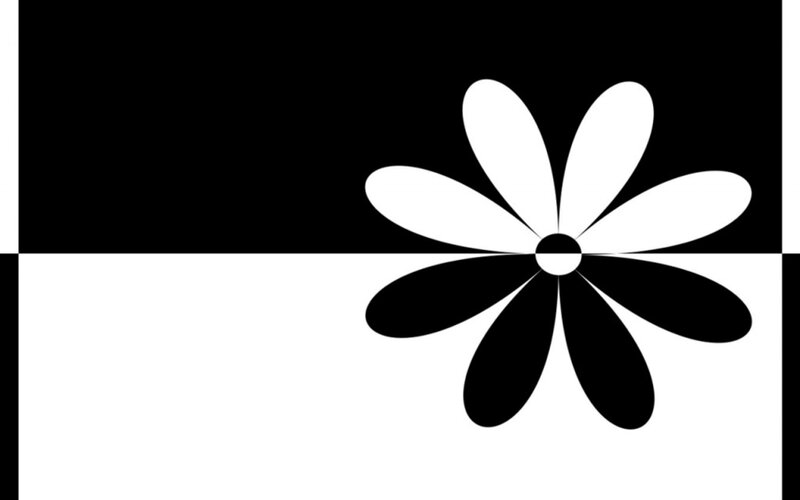 Black and White Flower — Neutral