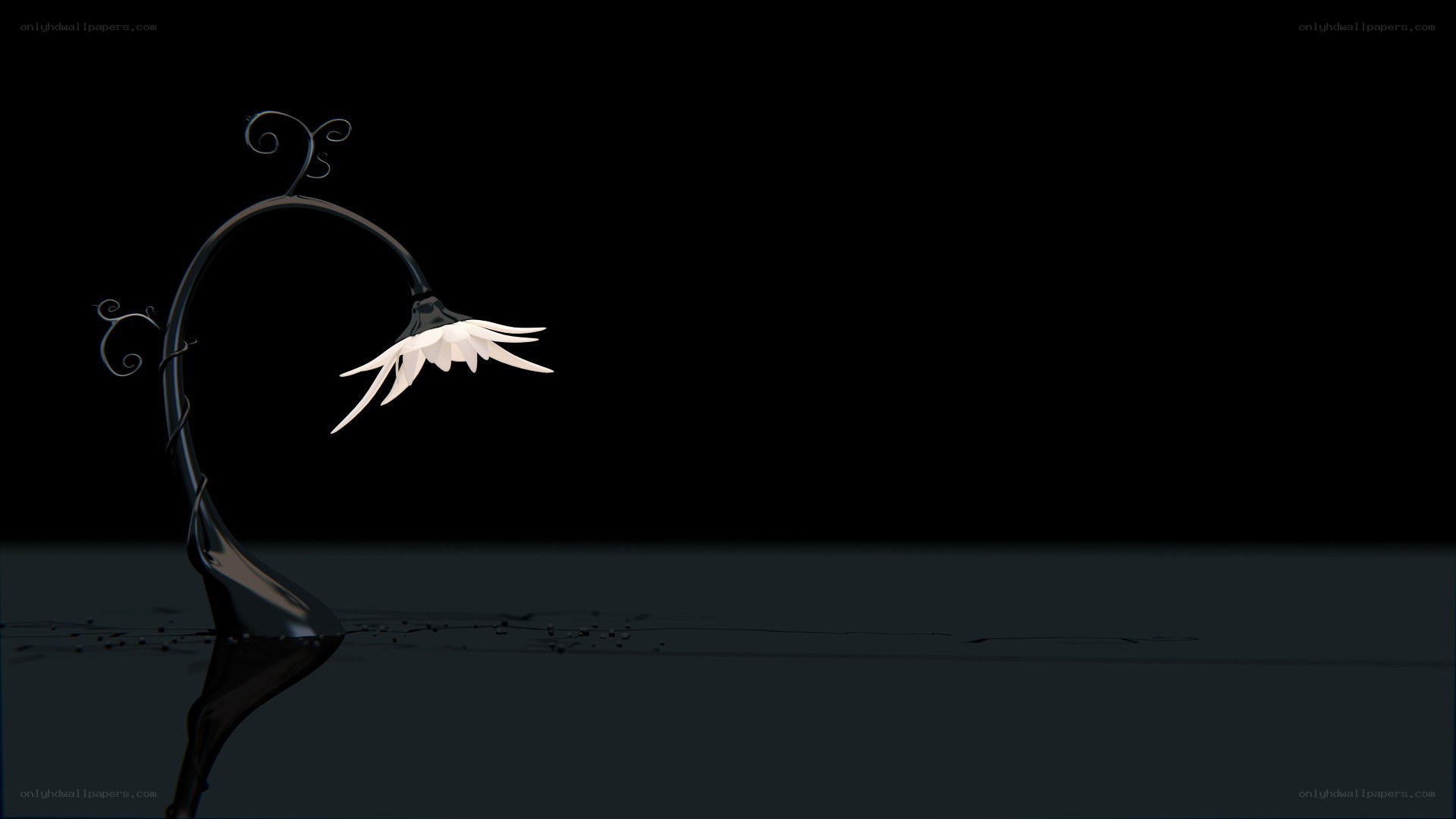 black and white flower sculpture