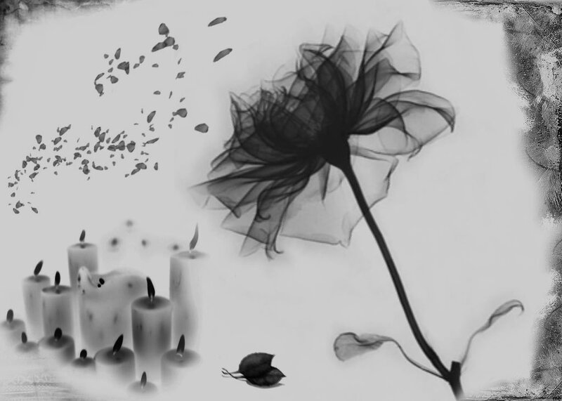 Black and White Flower — Somber