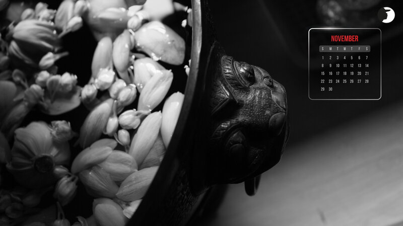 Black and White Flowers — Serene