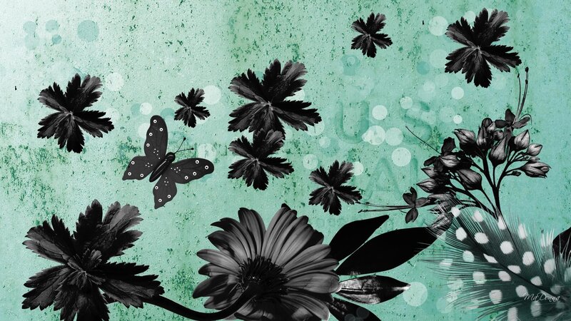Black and White Flowers — Teal