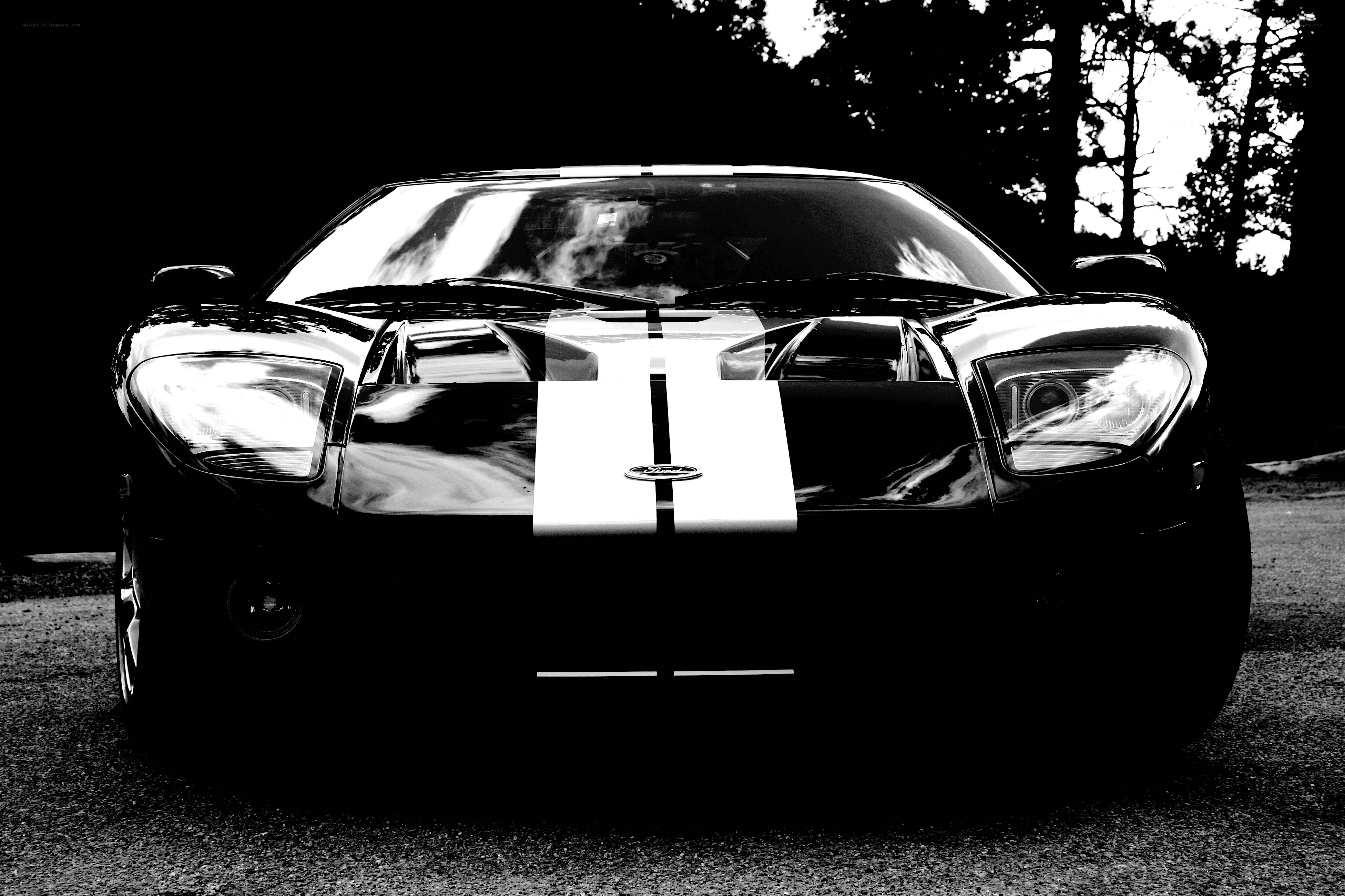 Black and white Ford GT