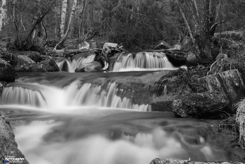 Black and white forest waterfall
