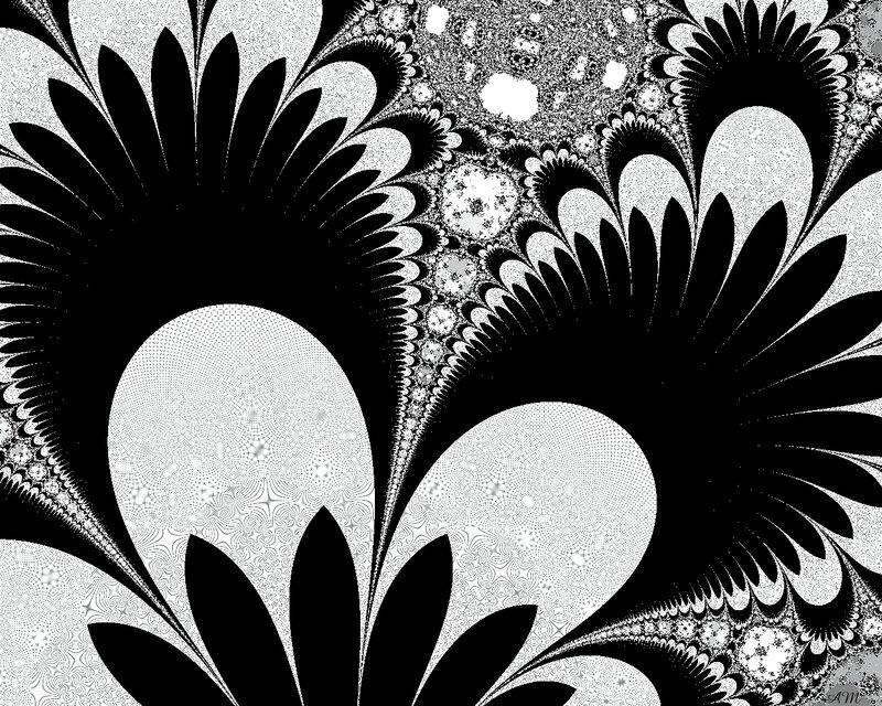 black and white fractal floral pattern