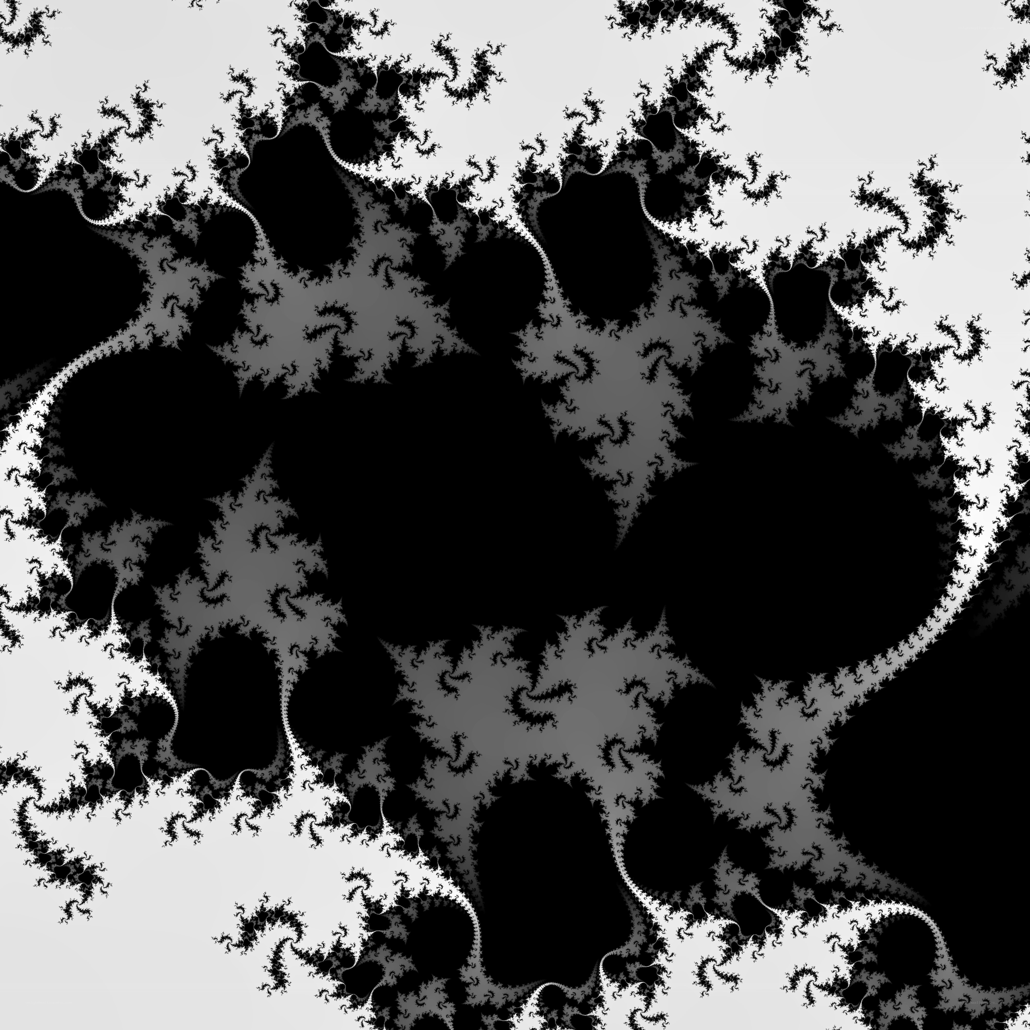 black and white fractal pattern
