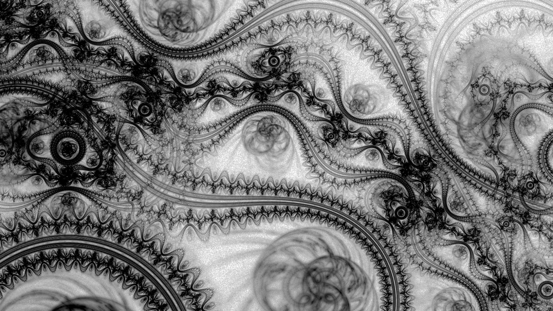 black and white fractal pattern