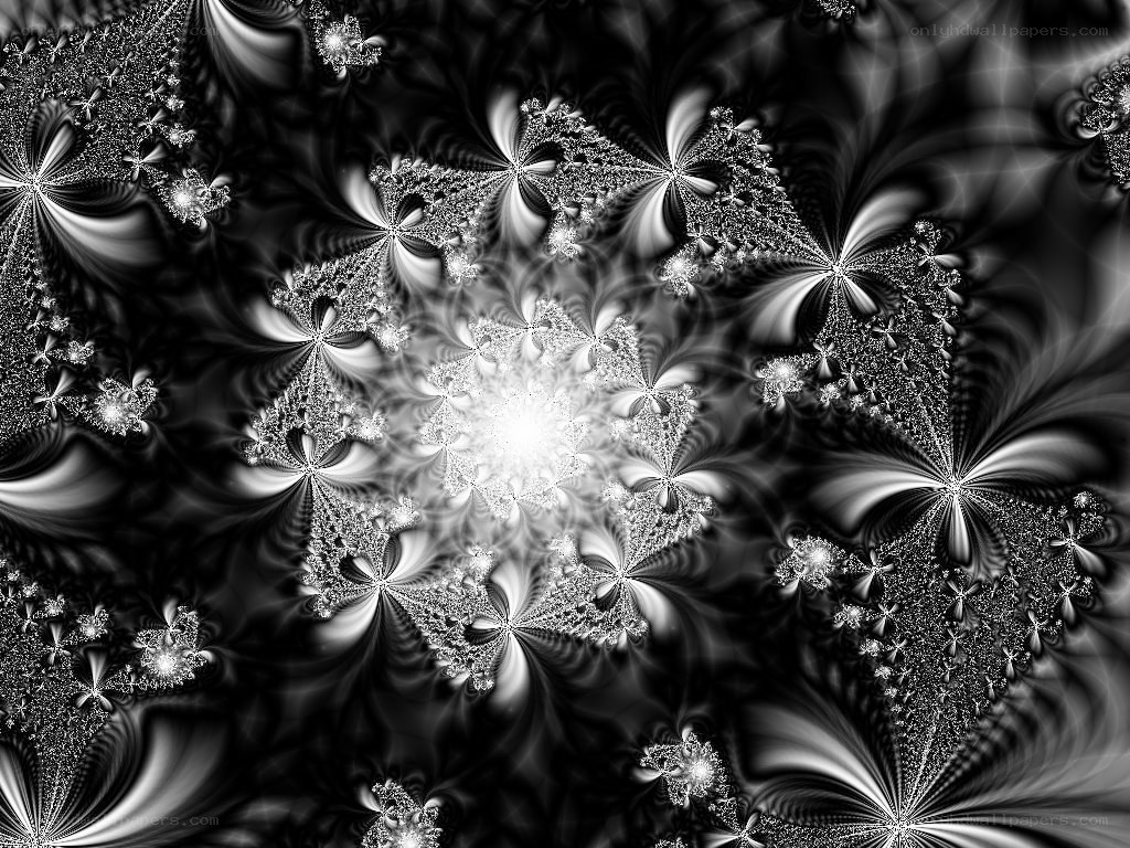 Black and white fractal pattern