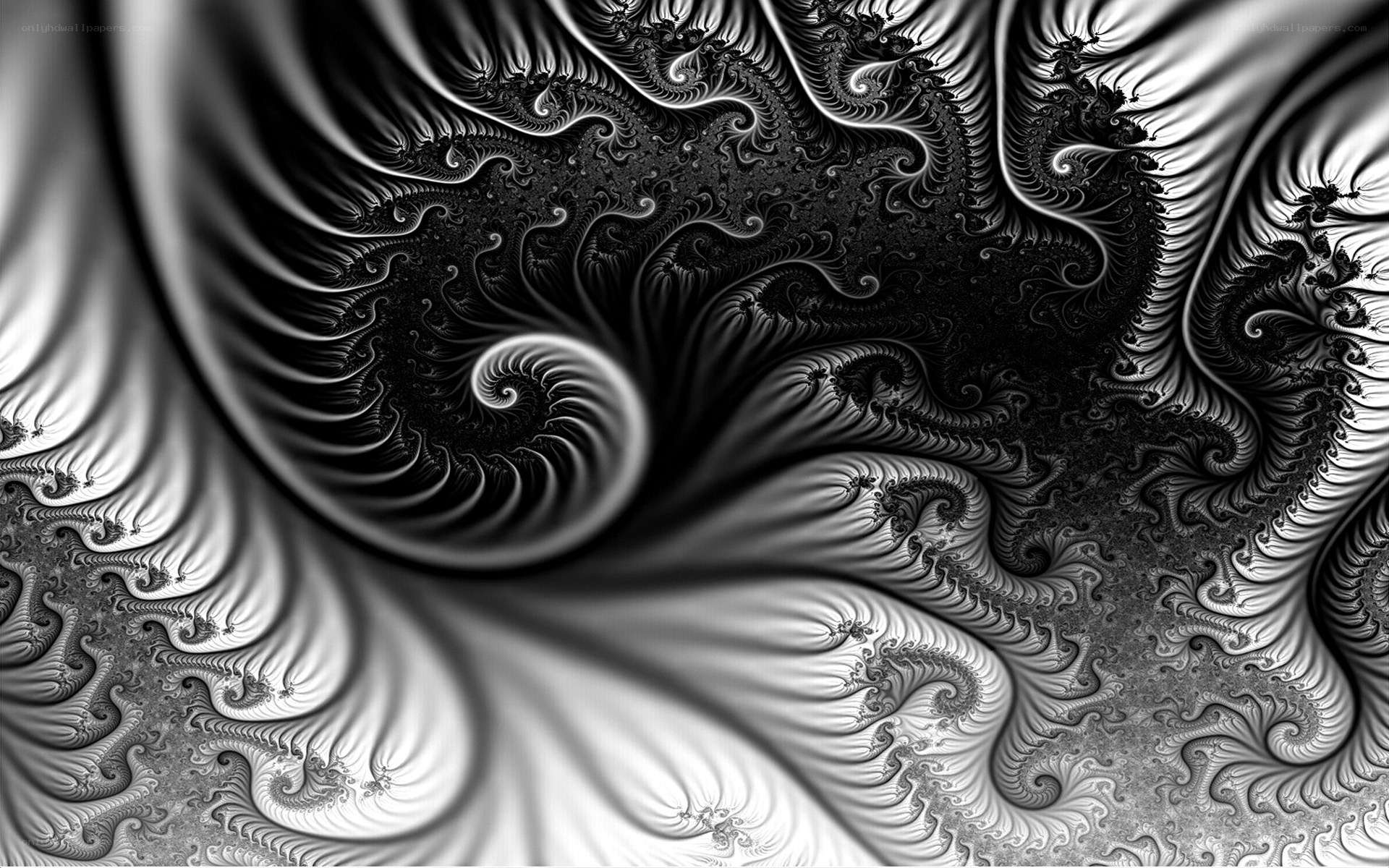 Black and white fractal pattern