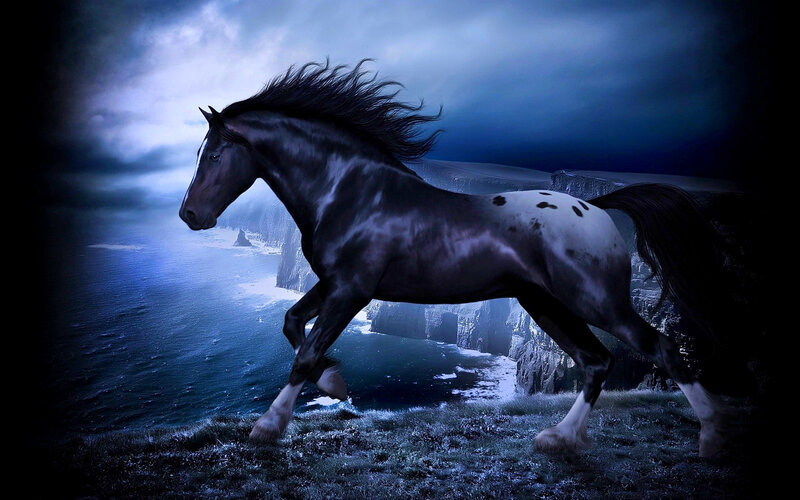 Black and White Horse — Blue, Dramatic, Night