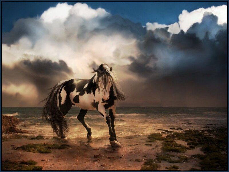 Black and White Horse — Blue, Dramatic, Sunset