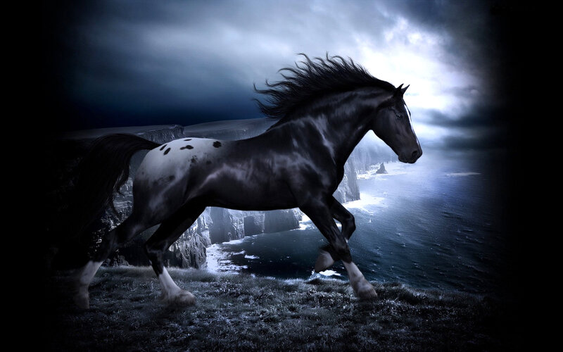 Black and White Horse — Dramatic, Night, Digital Art