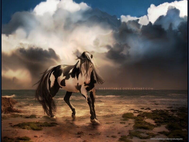 Black and White Horse — Dramatic, Sunset, Digital Art
