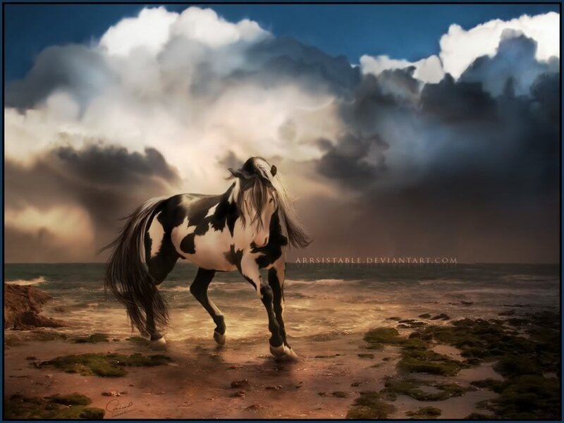Black and White Horse — Dramatic, Sunset