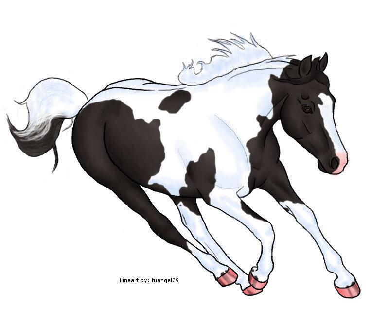 Black and White Horse — Dynamic, Digital Art
