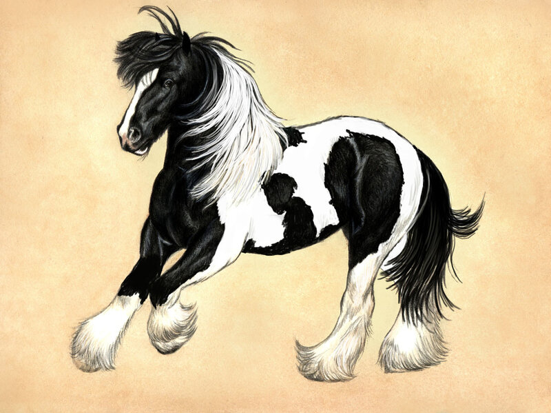Black and White Horse — Dynamic, Illustration