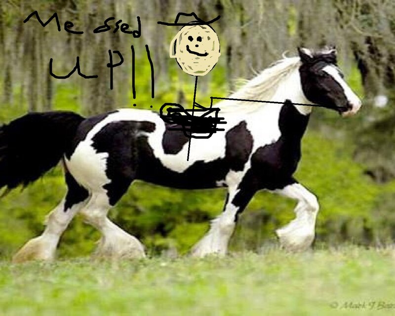Black and White Horse — Green, Playful