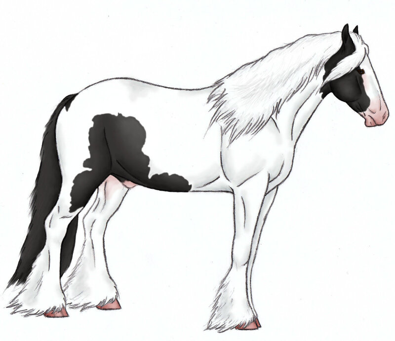 Black and White Horse — Neutral