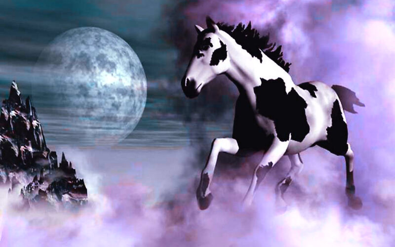 Black-and-white Horse Running — Purple