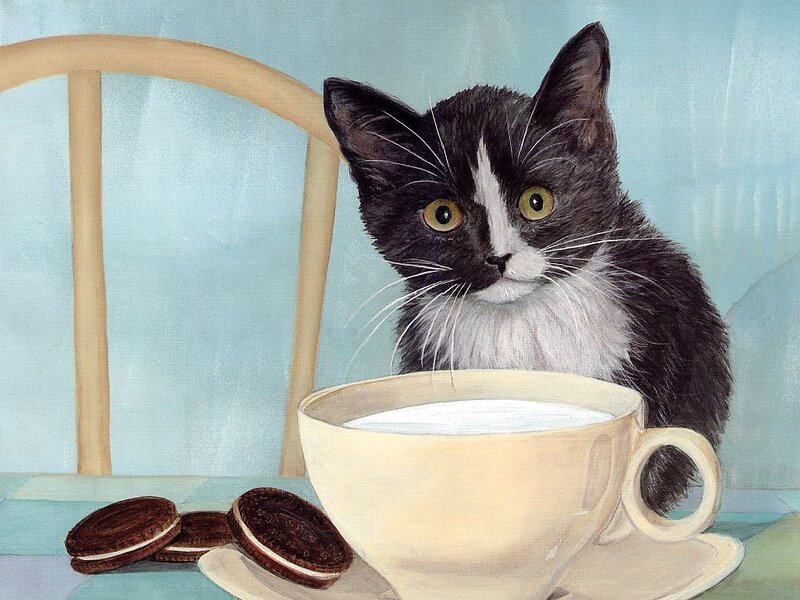 Black and White Kitten — Blue