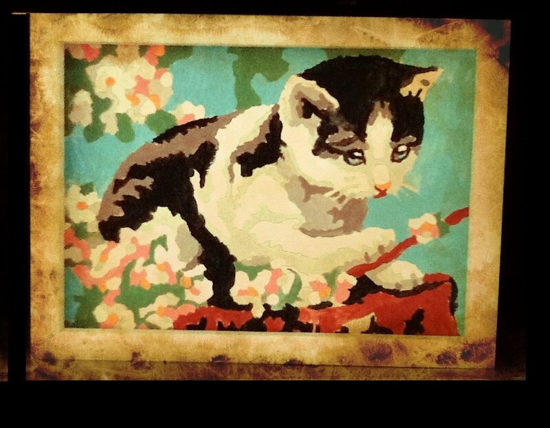 Black and White Kitten — Calm, Illustration