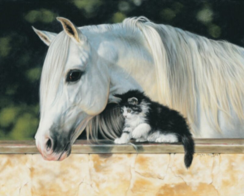 Black and White Kitten — Calm, Painting