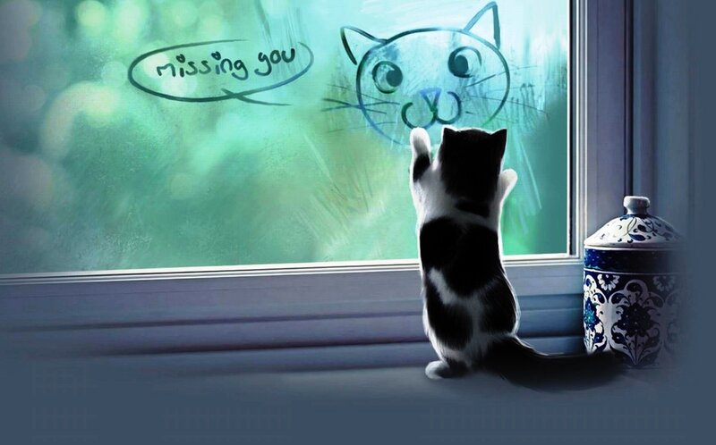 Black and White Kitten — Green, Melancholic