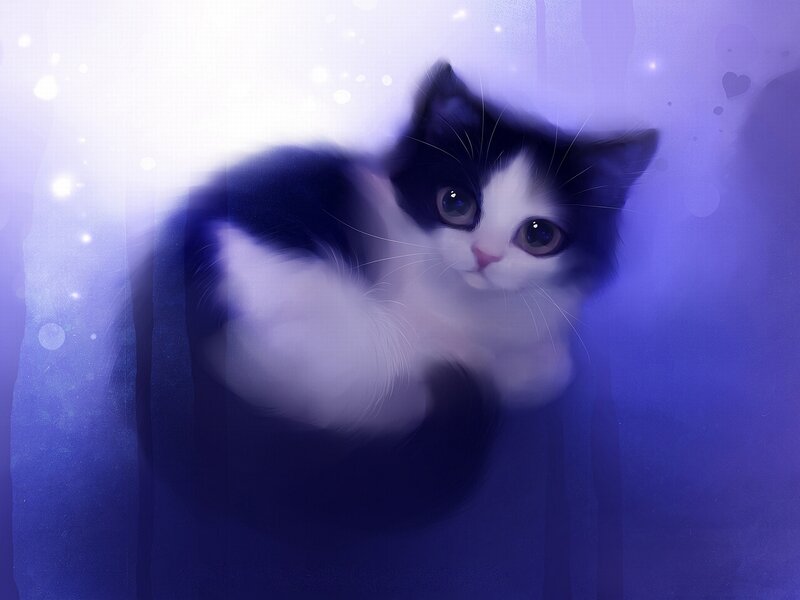 Black and White Kitten — Purple, Dreamy, Night